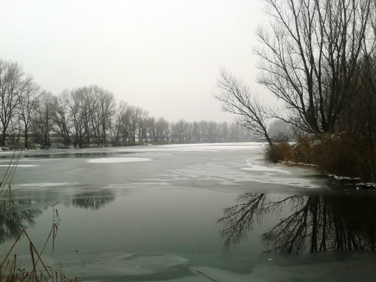 Zelenka