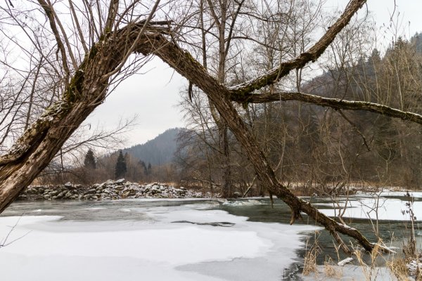 Rieka Revúca v zajatí ľadu