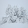 Gleinalpe, snehové mátohy v hmle