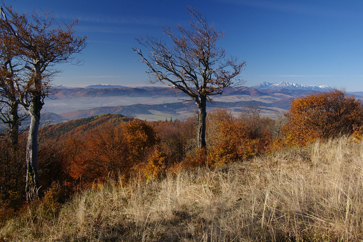 Kráľova hoľa a Tatry z Minčola (autor foto: Michal Kapr)