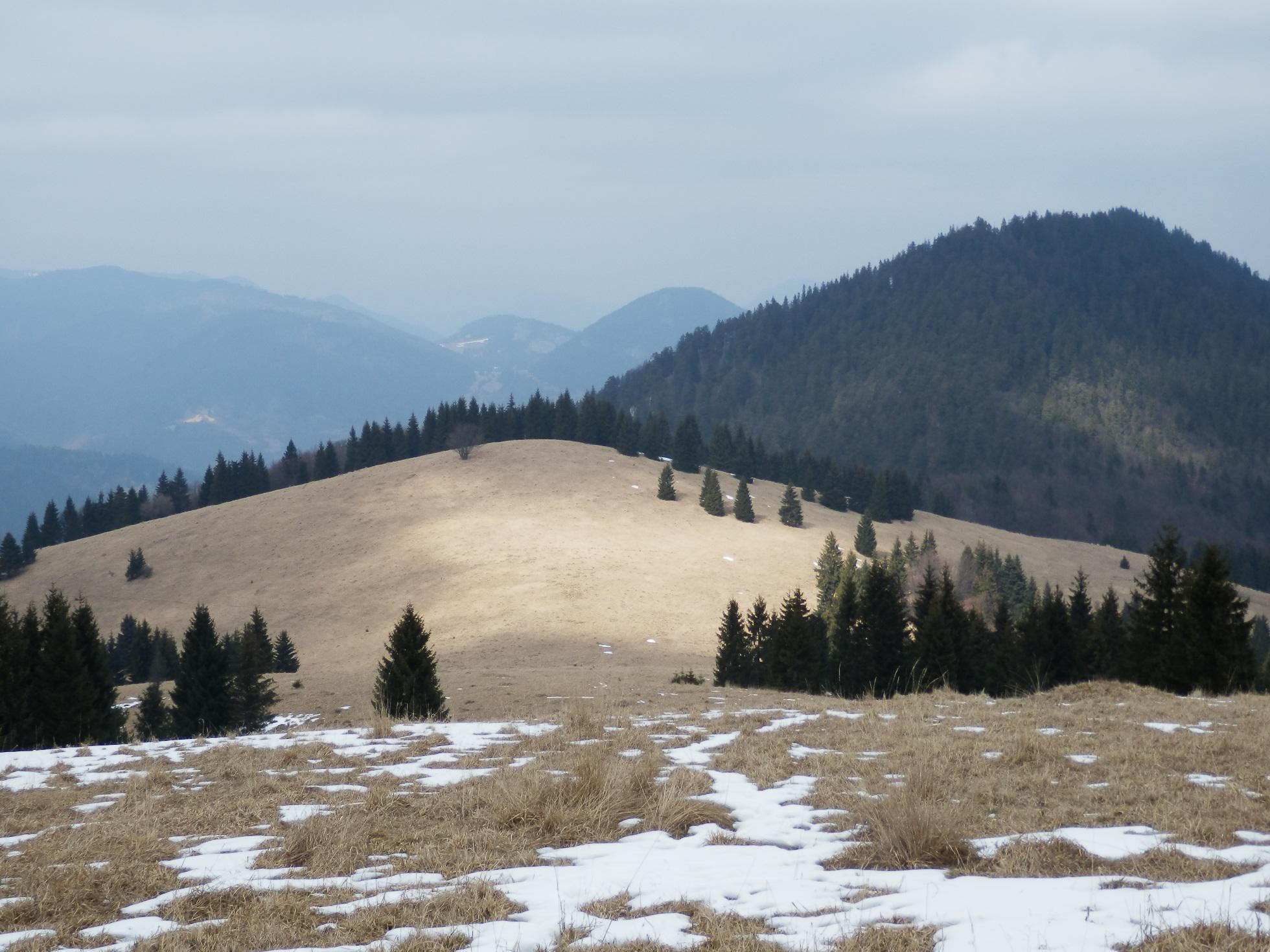 Brankovské lúky s odlesneným vrchom Rebro a Brankovom (Ostrý grúň) v pozadí Sidorovo (Hýrová) a Malinné