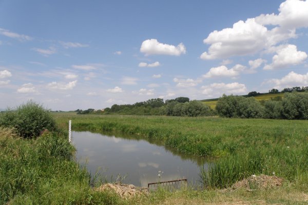 Vodná nádrž Trávnica I. (Starý rybník)