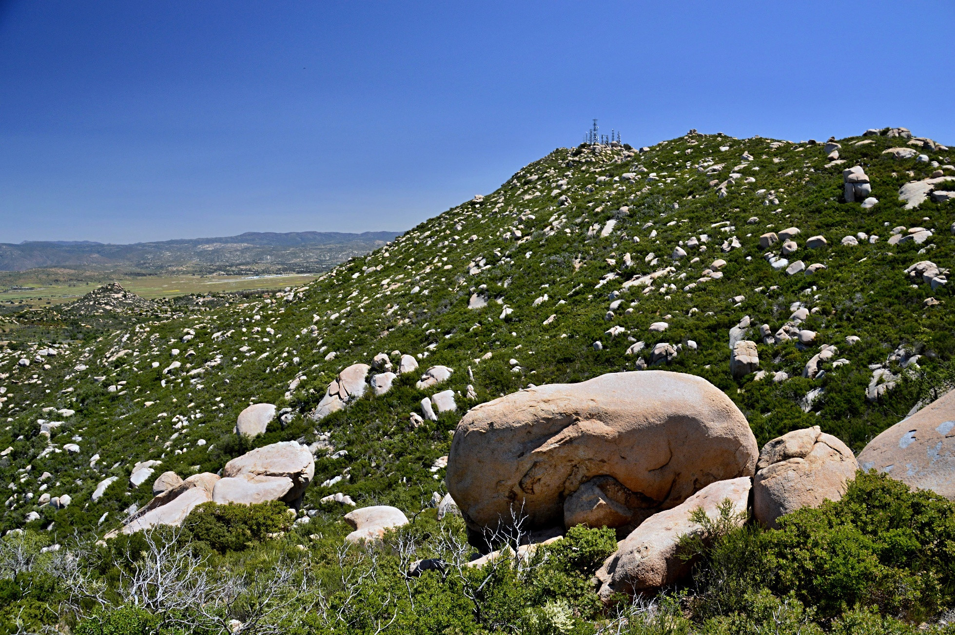 Mt. Woodson