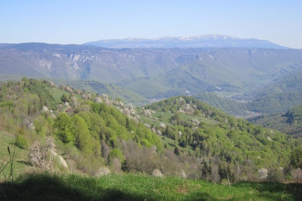 Výhľad od chaty Nemcová na Muránsku planinu a Kráľovohoľské Tatry