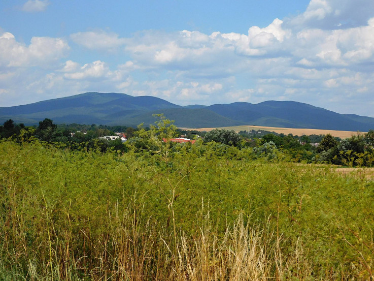 Pohľad k Slanským vrchom