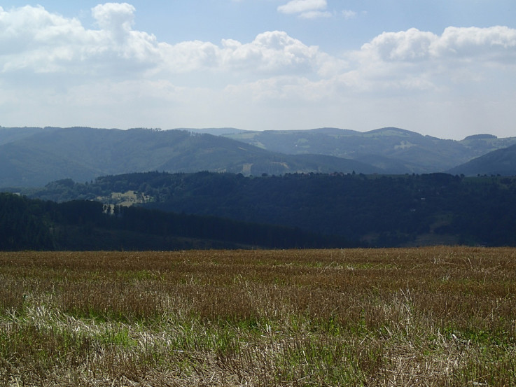 Machnáč (autor foto: Miloš Kopecký)