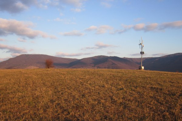 Paprtný vrch, v kríku je triangulačná tyč, v pozadí Vihorlat (autor foto: Martin Knor)