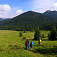 Spišská dolina a Ondrejisko (Borovniak) (autor foto: Tomáš Trstenský)