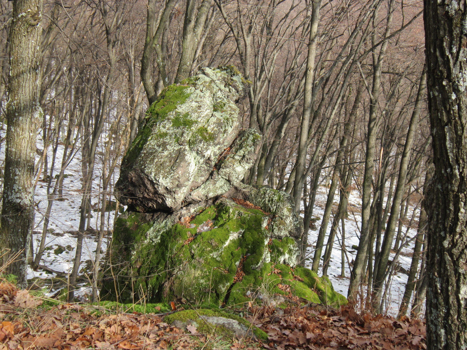 Kamenná žaba na Čajkovskom bralí