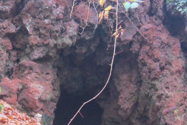 Jaskyňa Sezam pod Putikovým vŕškom