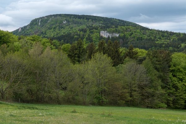 Severovýchodný okraj Hohe Wand, záber od cesty neďaleko zrúcaniny hradu