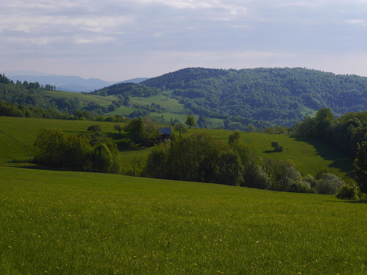 Typická krajinka Málinských vrchov