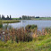 Ďaľší z množstva rybníkov v okolí Náměští nad Oslavou