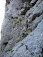 Ferrata do dolného okna