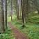 Chodník lesom pri zostupe zo Slemä