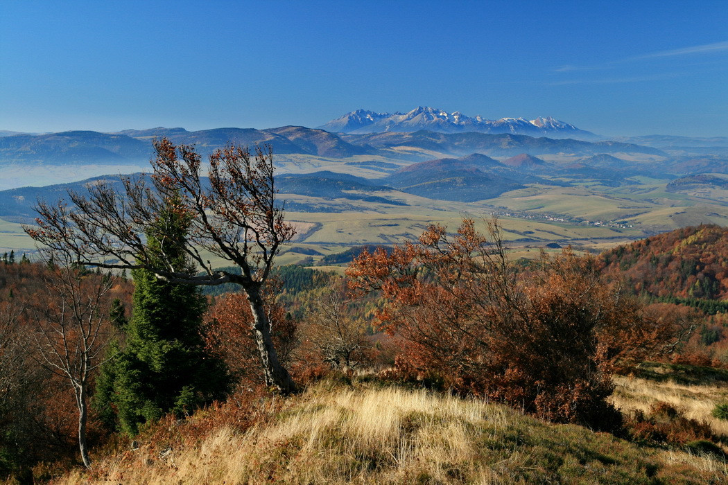 Tatry z Minčola