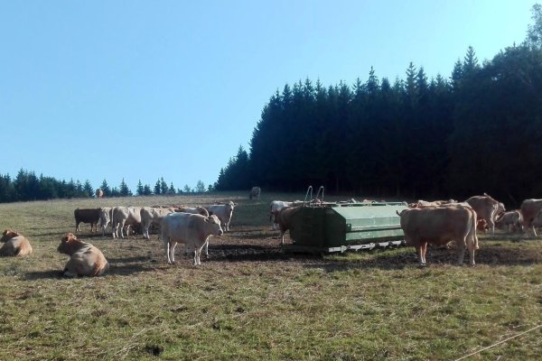 Pastviny nad Rusavou pod kopcem Bukovina