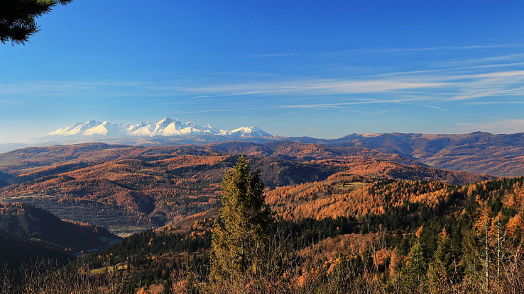 Tatry a Levočské vrchy z Bachurne