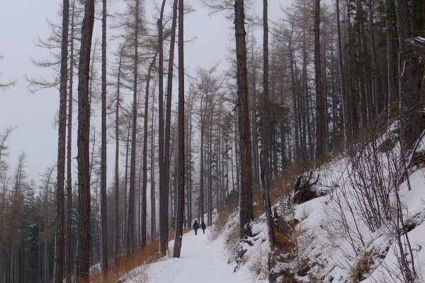 Prvý úsek po Tatranskej magistrále ešte v hmle
