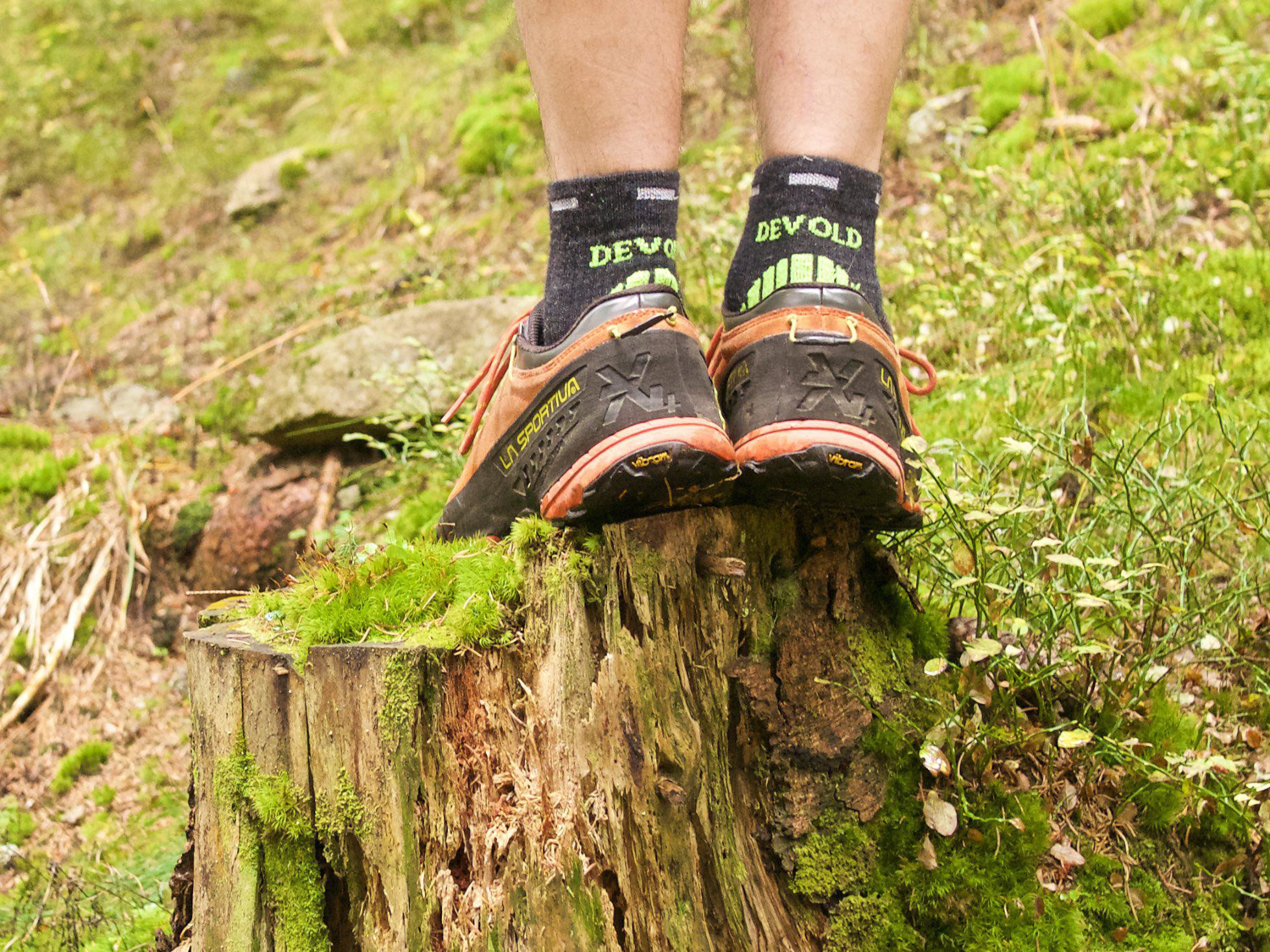 Ponožky Devold Energy Ankle