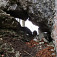 Skalné okno pod Harmaneckou jaskyňou