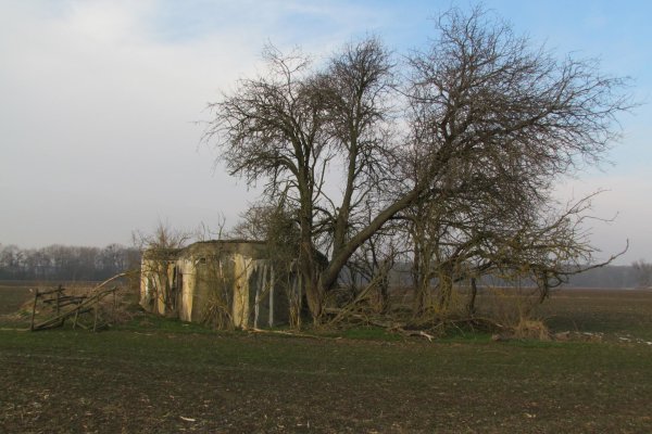 Bunker z 1. ČSR