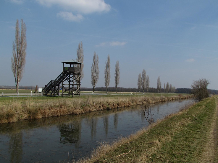 Pozorovateľňa vtáctva pri Cahnove (Hohenau an der March)