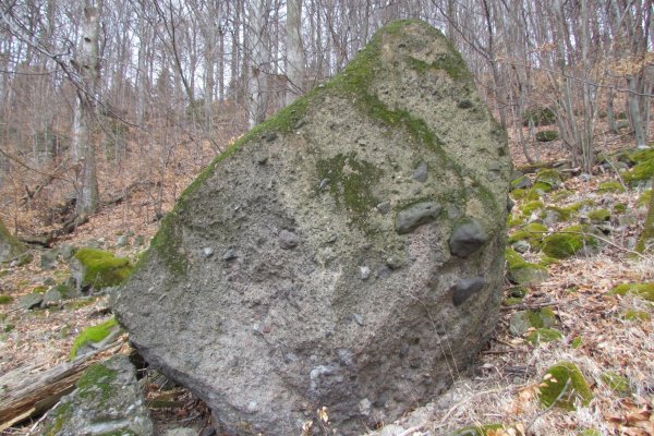 Kamene pod Markušovou