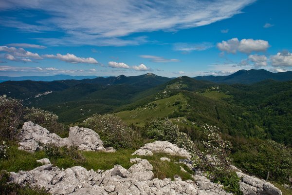 Na vrchole - pohľad na sever - následný kopec Sitovnik, skalnaty kopec v strede Zagradski vrh