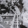 Suchá Belá - drevené rebríky