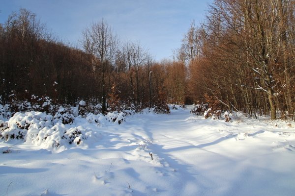 Zimné ráno v Slanských vrchoch