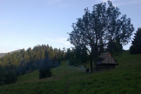 Dreveničky pod Kútnikovym kopcom obsadené Čechmi