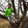 Stromy vhodné na lezenie sú vďačným rozptýlením, foto Soňa Mäkká