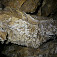 Pizolity, jaskyňa D. Horváta, autor Tomáš Lánczoš