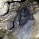 V plazivke - jaskyňa D. Horváta, autor Peter Slivka