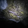 Mikroorganizmy v svetle baterky krásne svetielkujú - Pružinská Dúpna jaskyňa