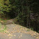 Z lesa na asfaltku - stále smer Obervellach