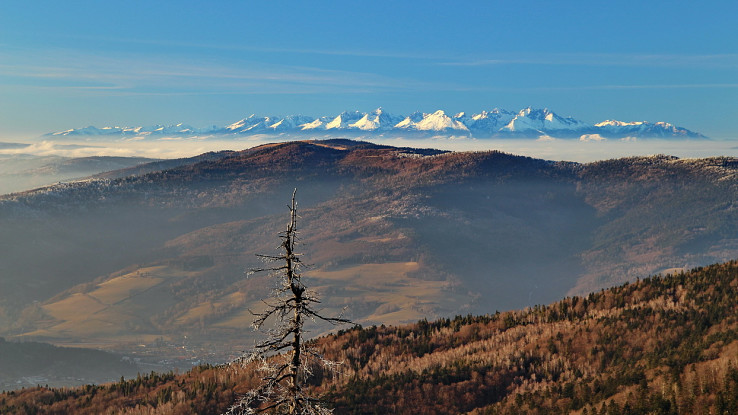 Kloptaň - pohľad na Tatry, vpredu Hnilecké vrchy (Bukovec)
