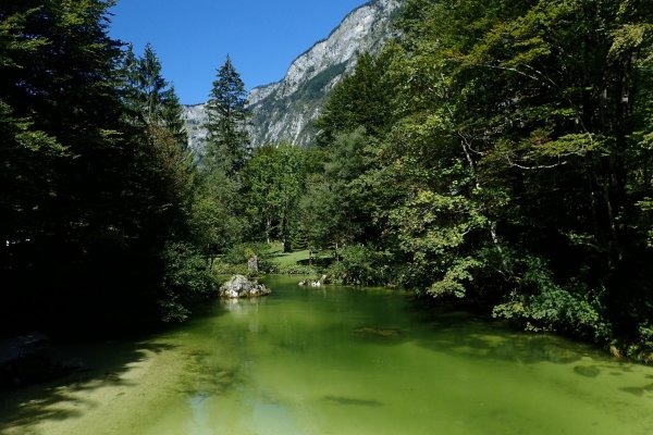 Rieka Savica, vtekajúca do jazera Bohinj, má magickú zelenú farbu