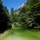 Rieka Savica, vtekajúca do jazera Bohinj, má magickú zelenú farbu