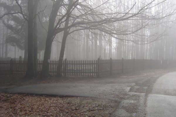 Huncokársky cintorin v hmle