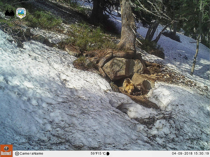 Medvedí brloh v Malej Fatre, foto Michal Kalaš