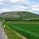 Hundsheimer Berg