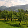 05 Ovocné stromy pri osade Gažovci