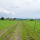 Chvojnica, Hate