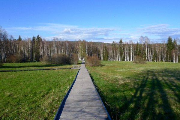 Podmáčaným územím vedie drevený chodník