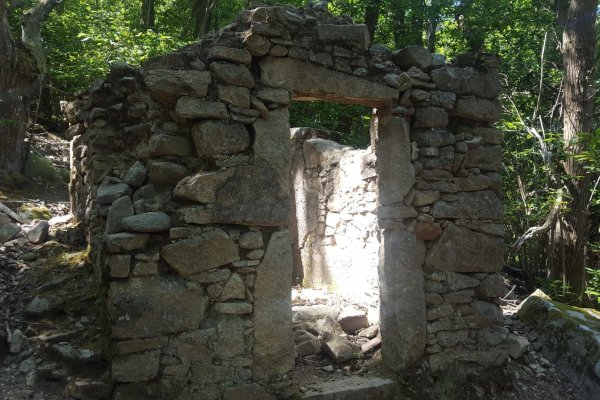 Kamenné stavby v lese