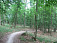 Kľukatiaci sa trail