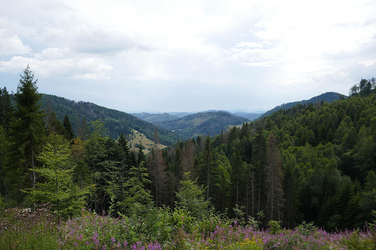 Výhľad na Muránsku planinu