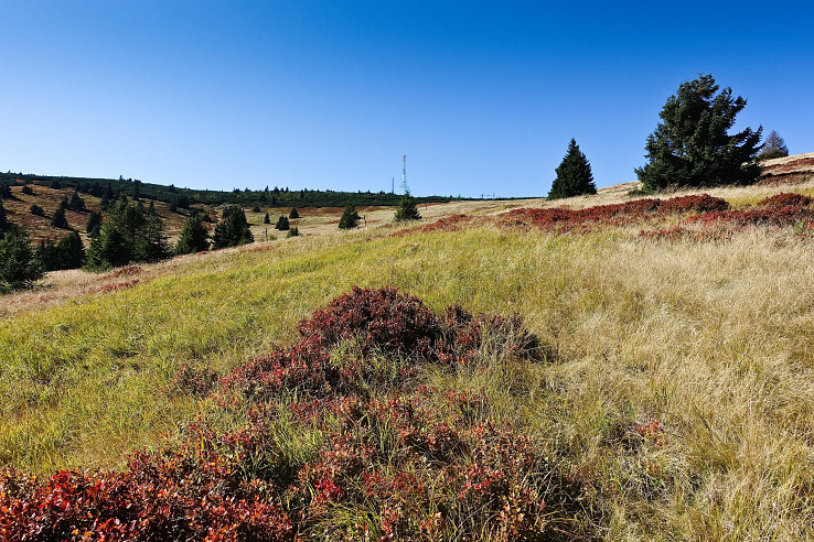 Martinské hole